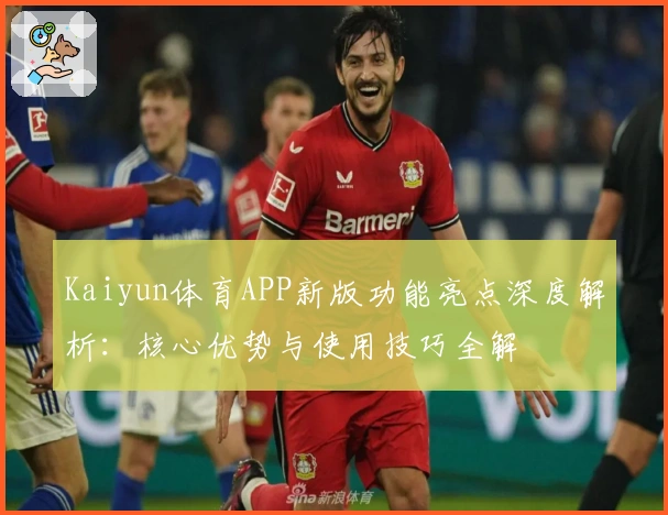 Kaiyun体育APP新版功能亮点深度解析：核心优势与使用技巧全解