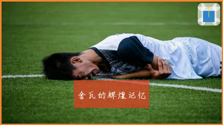 舍瓦的辉煌记忆