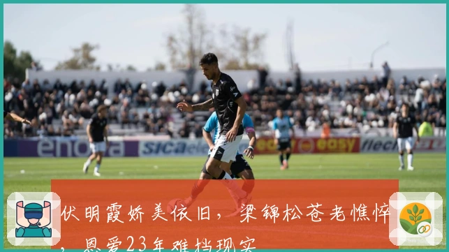 伏明霞娇美依旧，梁锦松苍老憔悴，恩爱23年难挡现实