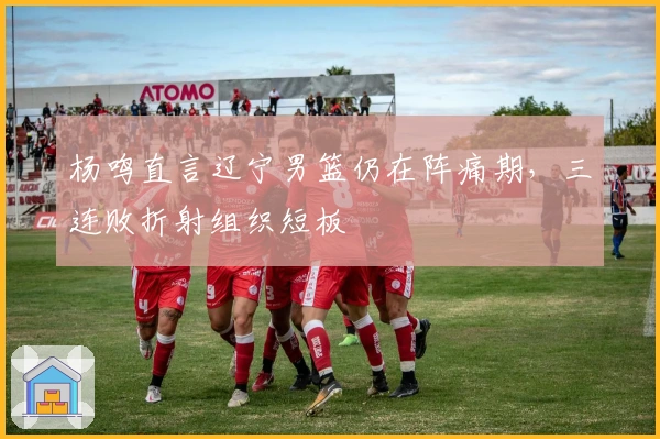 杨鸣直言辽宁男篮仍在阵痛期，三连败折射组织短板